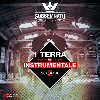 1Terra De Instrumentale Vol.2