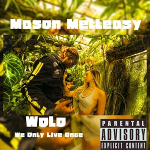MasonMelleasy -wolo (weonlyliveonce) - Single