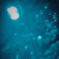 Swell - Single - Casein