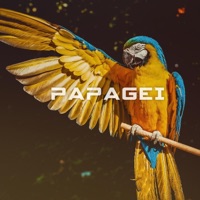Papagei - Single - Lima