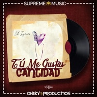 TU ME GUSTA CANTIDAD (feat. Oneky Production) - Single - El Iyawo