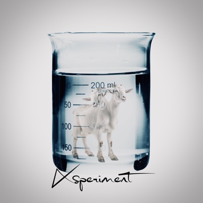 Xsperiment - Single