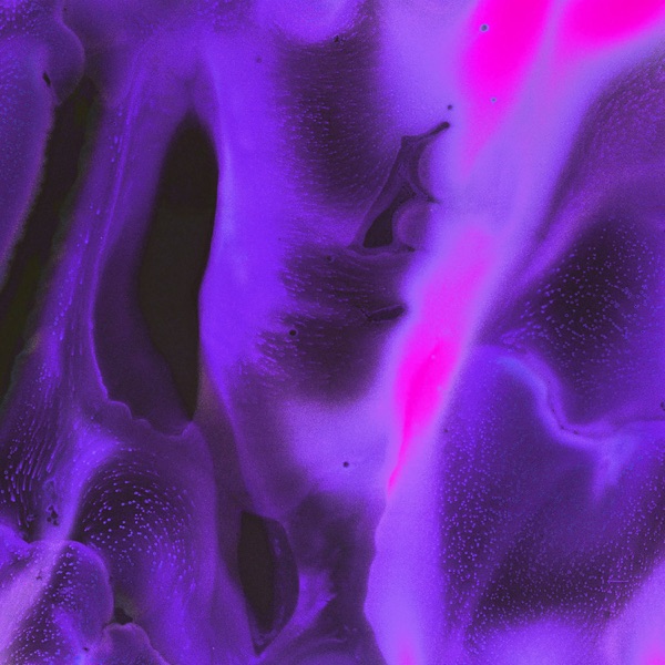 1000 Bites - Single