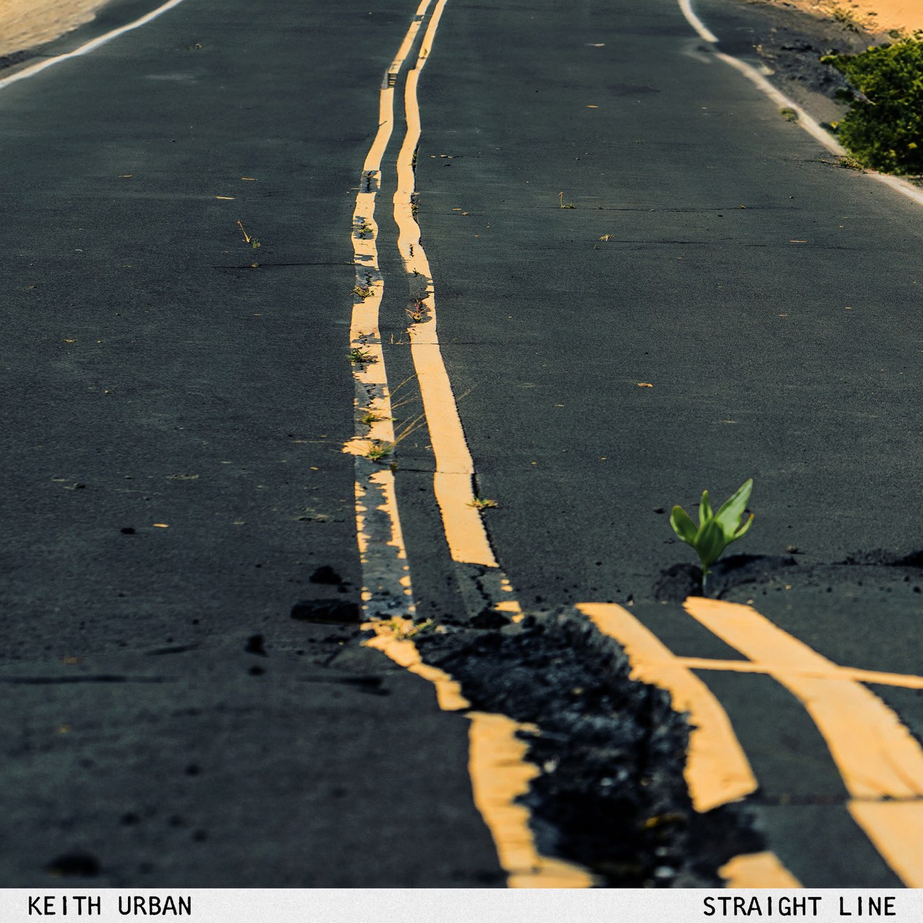 Keith Urban – Straight Line – Single (2024) [iTunes Match M4A]