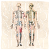 Anatomy - Single - Musical Charis