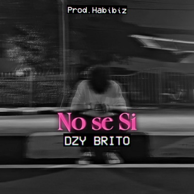 No Se Si - Single