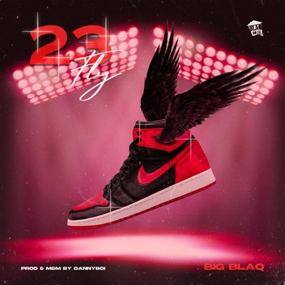 23Fly - Single