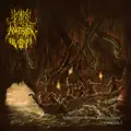 Through the Enchanted Forest of Illusions