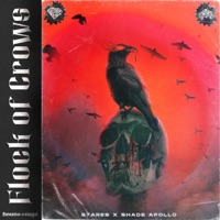 Flock of Crows - Single - 97Ares & Shade Apollo