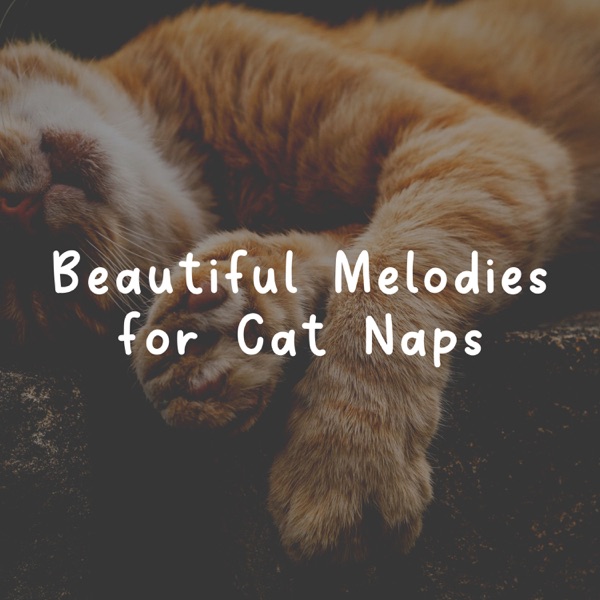 Beautiful Melodies for Cat Naps