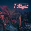 1 Night (feat. Slaygan) - Single