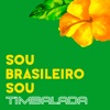 Sou Brasileiro Sou - Single