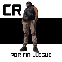 POR FINN LLEGUE - cr
