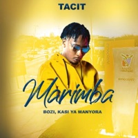 Marimba - Single - Tacit