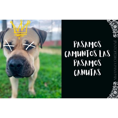 Pasamos canutos las pasamos canutas (feat. JPUNTOPEDRO) - Single