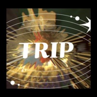 TRIP ABI INFELI$3$ - Single - Sweet Side Crows