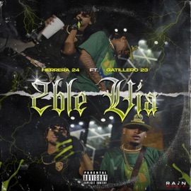 2Ble Via (feat. Gatillero 23) Herrera 24