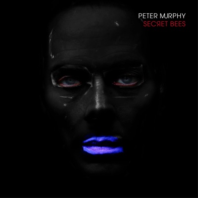 Good Works - Peter Murphy | Shazam