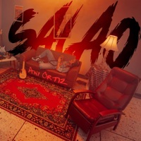 SALAO - Single - Ani Ortiz