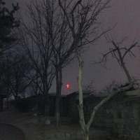 Mending - Single - Lovesickxo