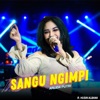 Sangu Ngimpi - Single