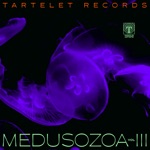 Medusozoa, Vol. III