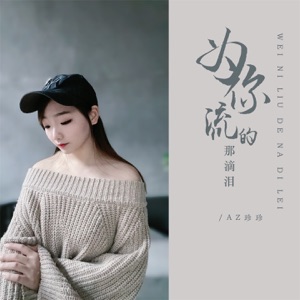 为你流的那滴泪 - Single