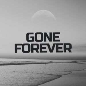 Gone Forever (feat. Brayla)