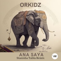 Ana Saya (Stanisha Tabla Remix) - Single - Orkidz & CamelVIP