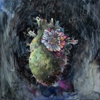 Stay Still - Single - Hwanhee