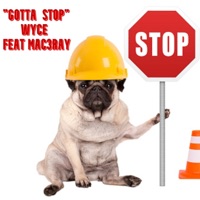 GOTTA STOP (feat. Mac3ray) - Single - Wyce