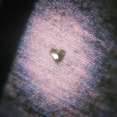 Deep Scars Frozen Heart - EP