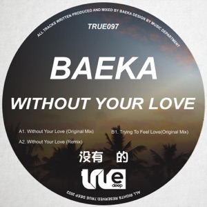Without Your Love - Single