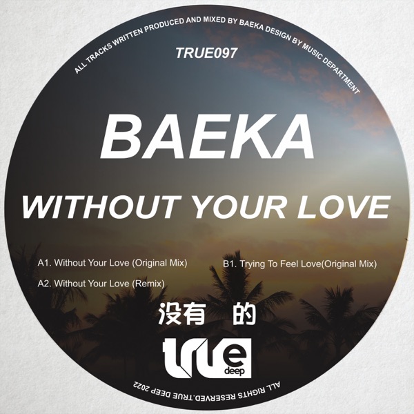 Without Your Love - Single