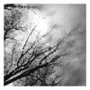Silent Spring - EP - Rei Kondoh