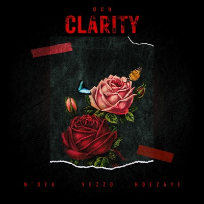 Clarity (feat. N’Dea & Hoezayye) - Single