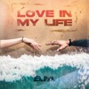 Love in My Life - Single