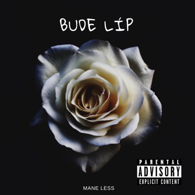 Bude líp (feat. Mane Less) - Single