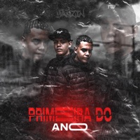 Mtg Primeira Do Ano - Single - DJ YANZIN