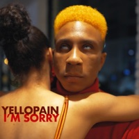 I'm Sorry - Single - Yellopain