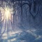 Digital Winter - Nova Beatz lyrics