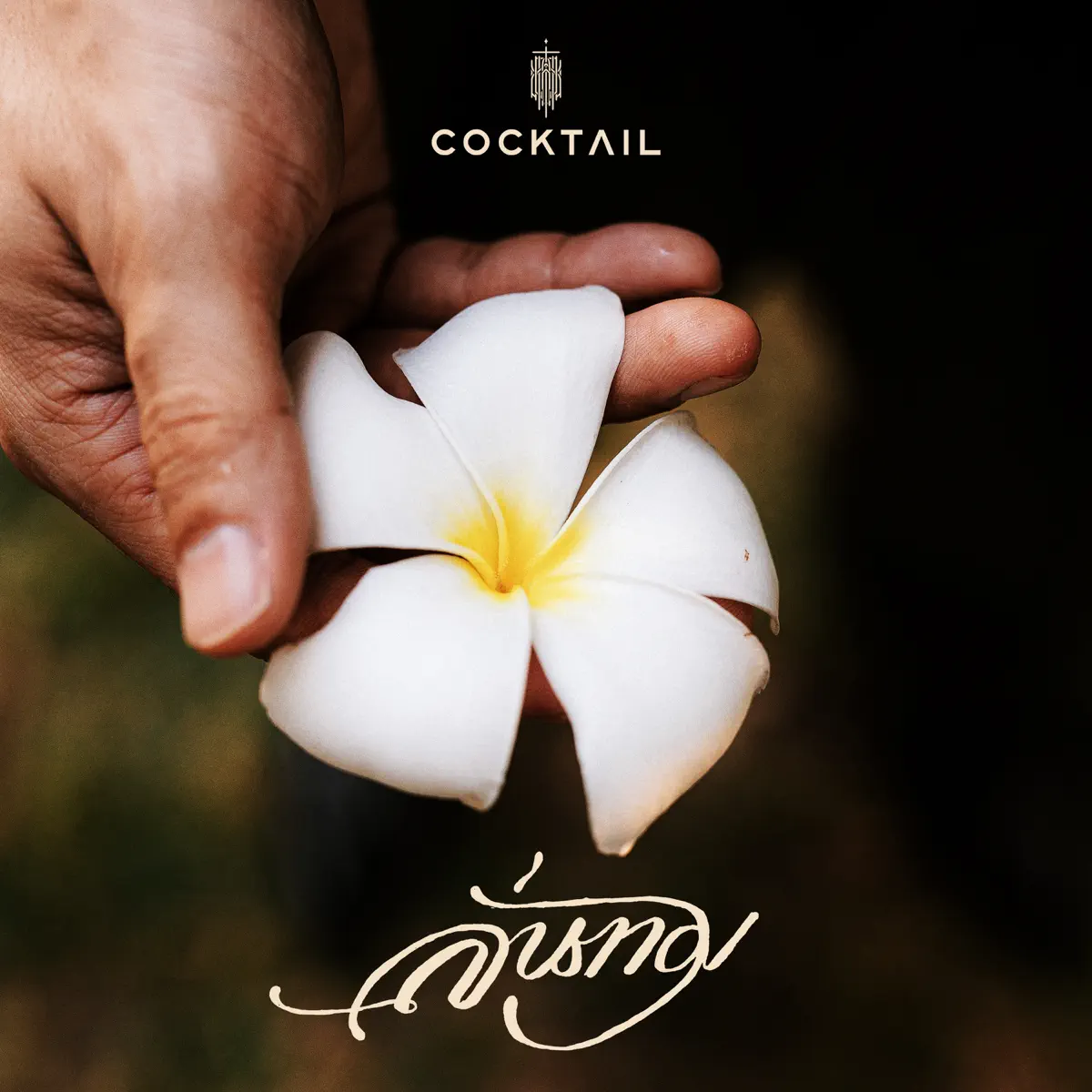 Cocktail - ลั่นทม (เพลงประกอบละคร "หอมกลิ่นความรัก") - Single (2023) [iTunes Plus AAC M4A]-新房子