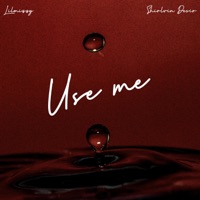 Use Me - Single - Lilmizzy & Shirlvin Desir