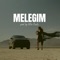 Melegim (Instrumental) artwork