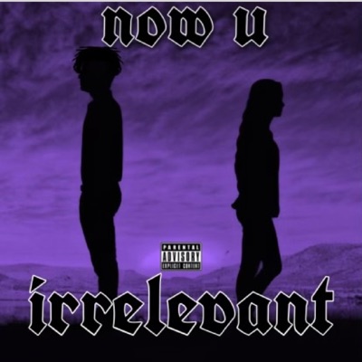 Now You Irrelevant - Single