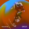 Yes or No - Single