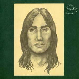 Cover voor Dan Fogelberg - To The Morning