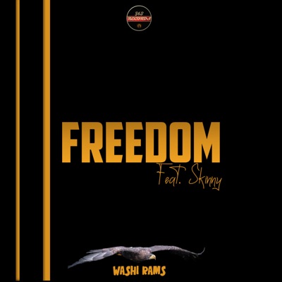 Freedom (feat. Skinny) - Single