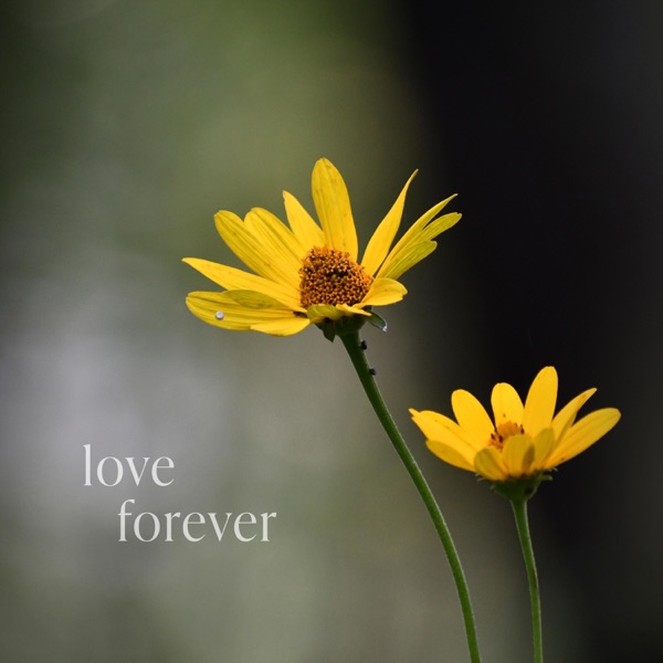 Love Forever