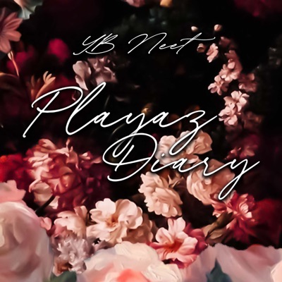 Playaz Diary - Single